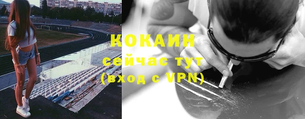 мдпв Инсар
