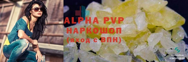 мдпв Инсар