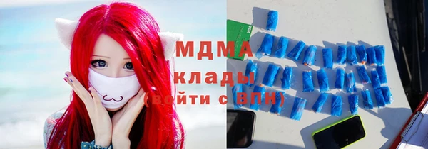 мдпв Инсар