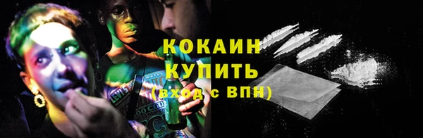 МДПВ Инта