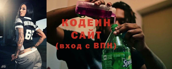 МДПВ Инта