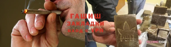 мдпв Инсар