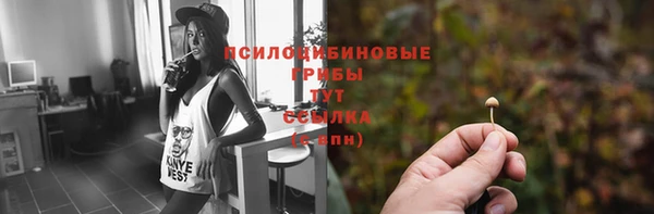 мдпв Инсар