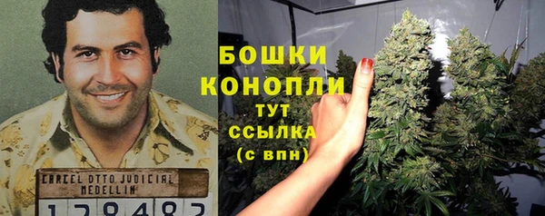 мдпв Инсар