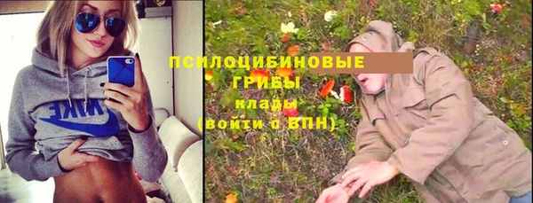 МДПВ Инта
