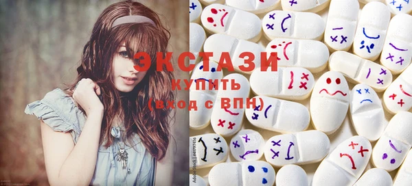 мдпв Инсар