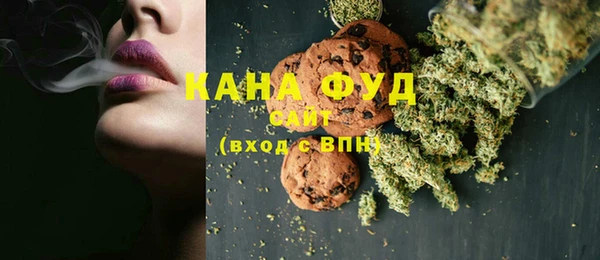 МДПВ Инта