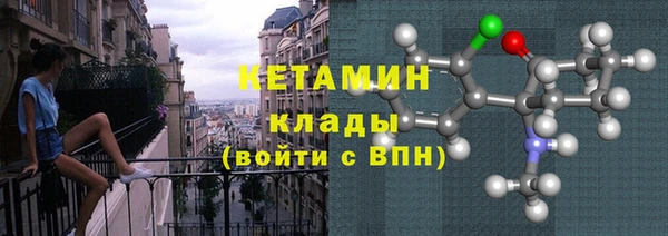 мдпв Инсар