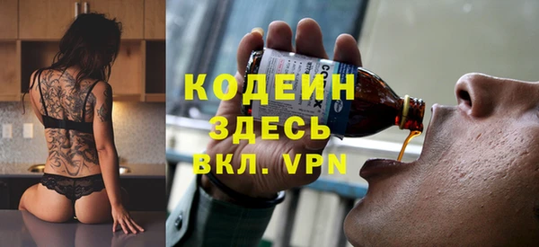 мдпв Инсар
