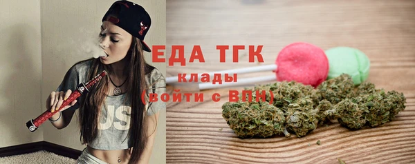 мдпв Инсар